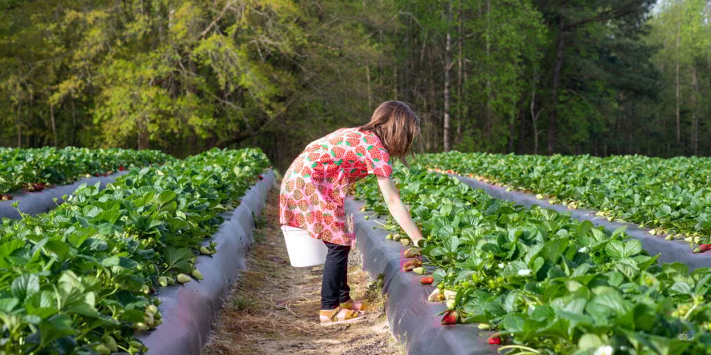 The Best Things to Do in Johnston County NC