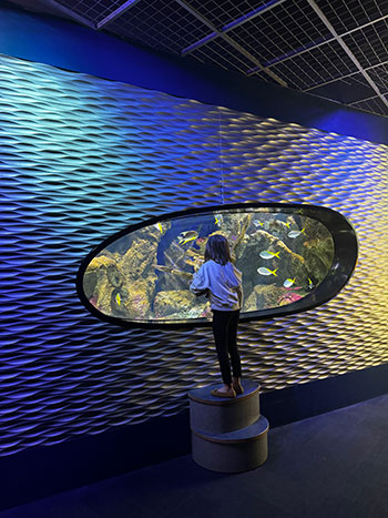 Discovery Place Science Charlotte NC Image by NC Tripping