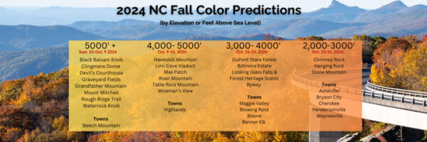 Colorful Fall Hikes in North Carolina (20+ Places to Expore)