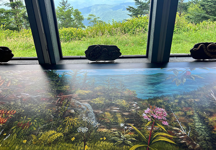 Waterrock Knob Visitor Center Inside Image by NC Tripping