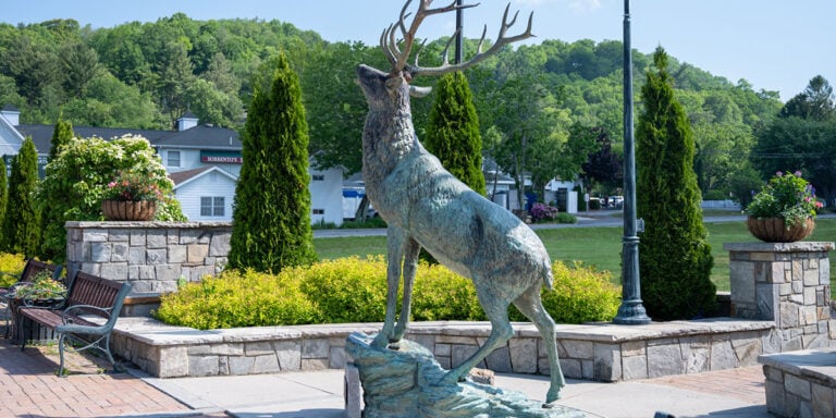 Help Avery County NC Businesses Image by NC Tripping