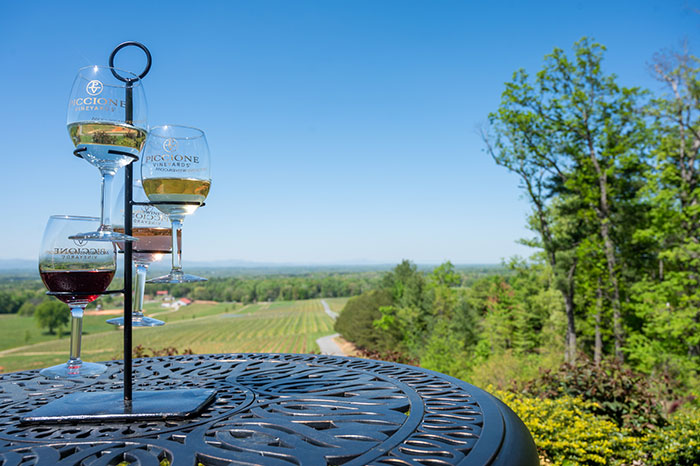 Piccione Vineyards Yadkin Valley NC