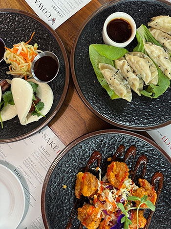 Cowa Sake Hickory NC Restaurants Image by NC Tripping