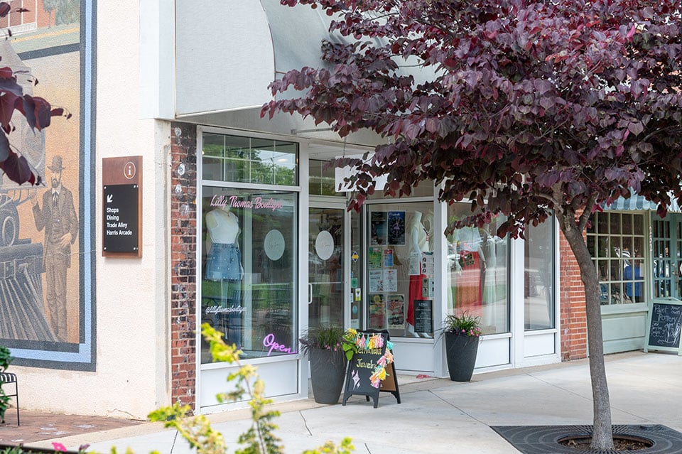 lilly thomas hickory