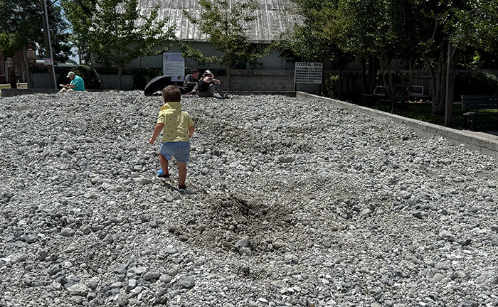Aurora Fossil Museum NC Free Things to Do Image by NC Tripping