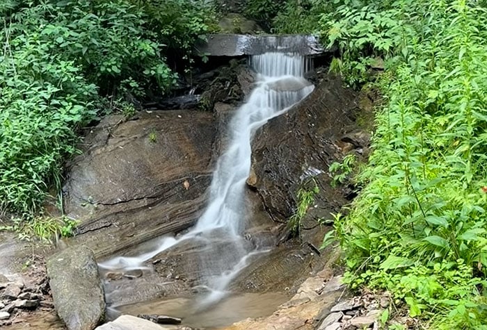 Cataloochee Ranch Salamander Falls Hiking Trail Image by NC Tripping
