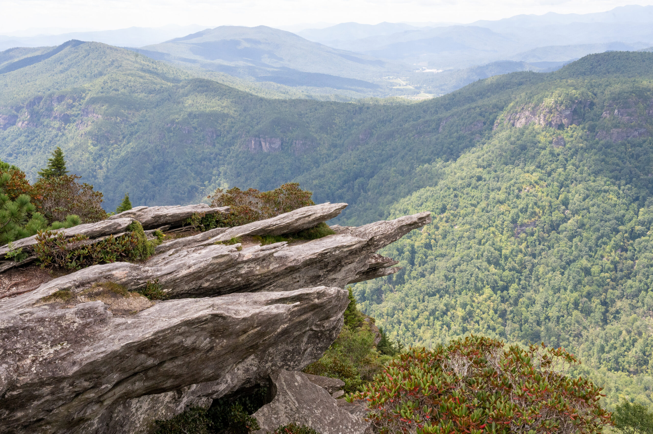 Hawksbill 2025 04 scaled