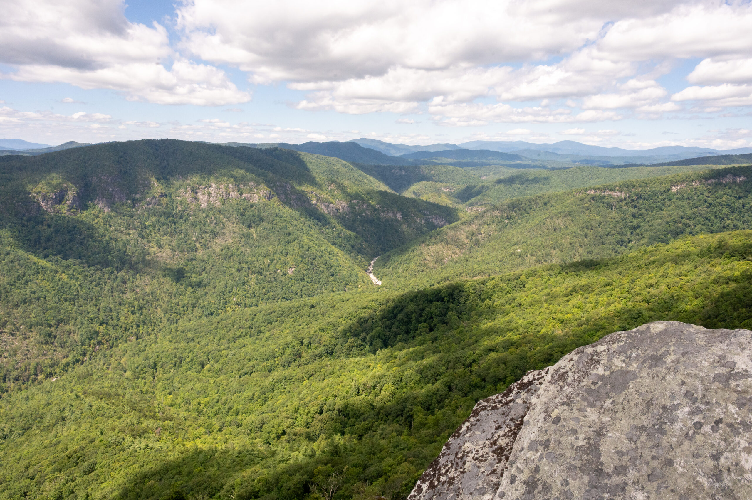 Hawksbill 2025 06 scaled