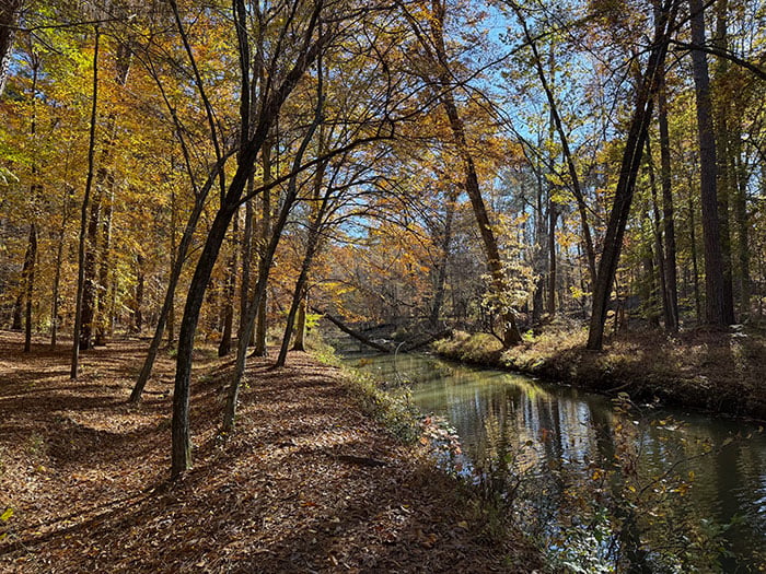 Umstead State Park Potts Branch Trail NC Image by NC Tripping