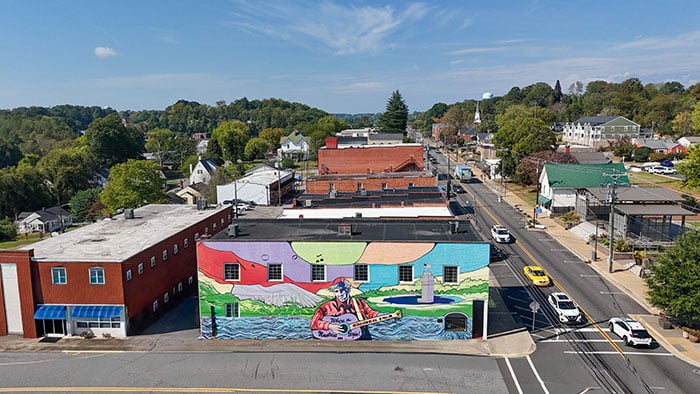 Wilkes 2025 drone merle mural
