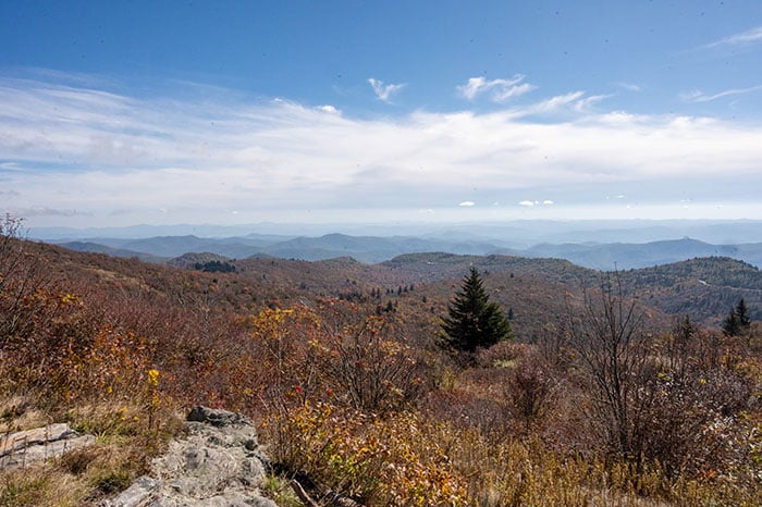 Black balsam knob 07