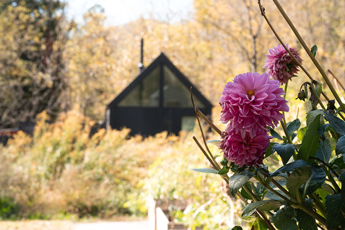Firelight at Stope Creek 02