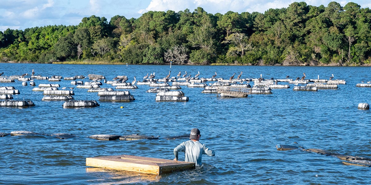 Onslow County Things to Do