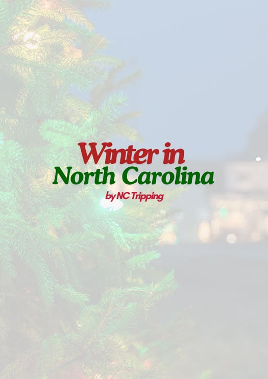 Winter in NC Ebook Cover