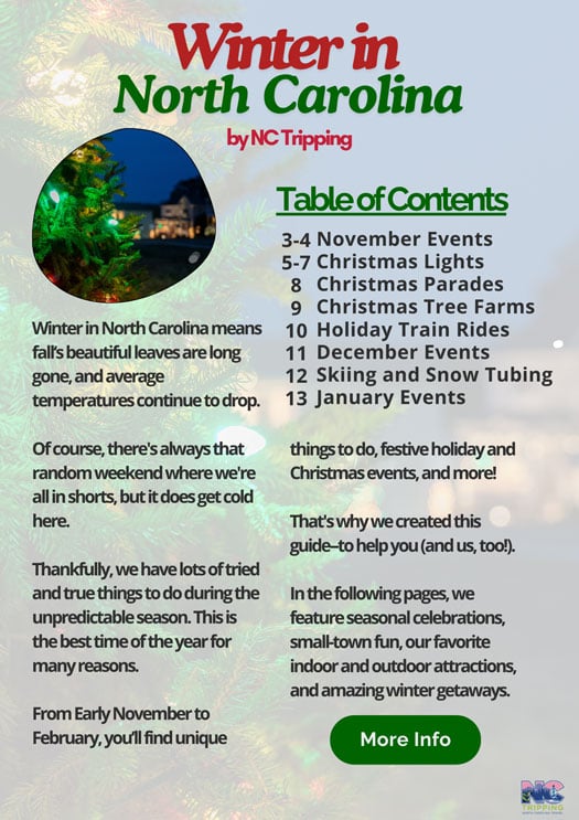 Winter in NC Ebook IntroTOC