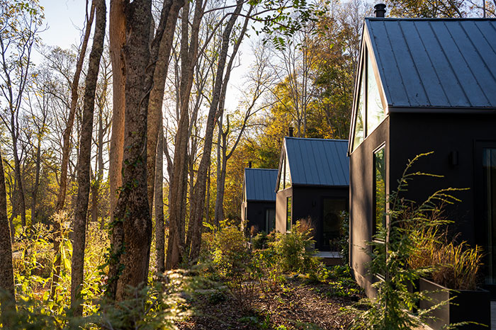 firelight at shoppe creek 2