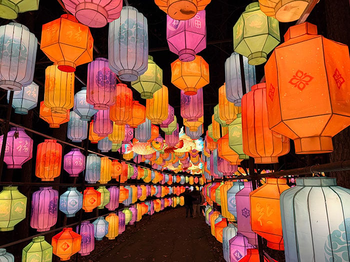 NC Chinese Lantern Festival Cary NC Image by NC Tripping