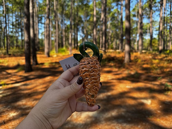 Pinecone Pathways Clay Pinecone 2024 Image by NC Tripping