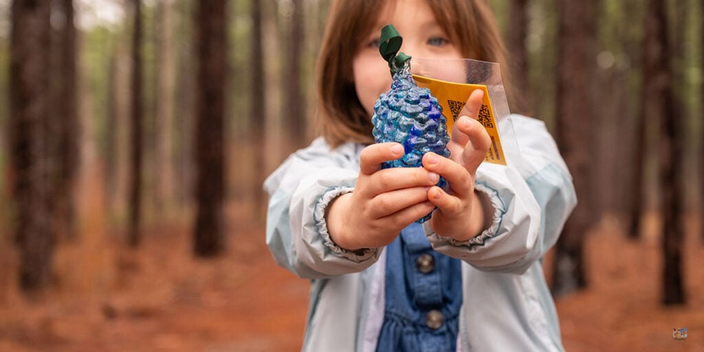 Pinecone Pathways Moore County NC Travel Guide Image by NC Tripping