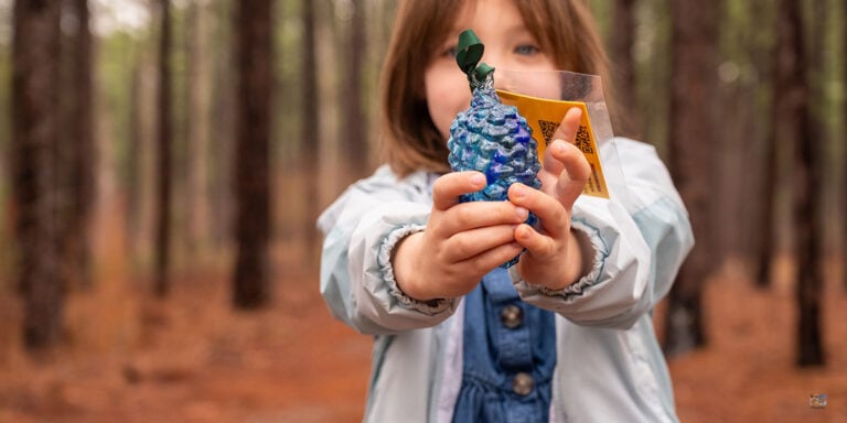 Pinecone Pathways Moore County NC Travel Guide Image by NC Tripping