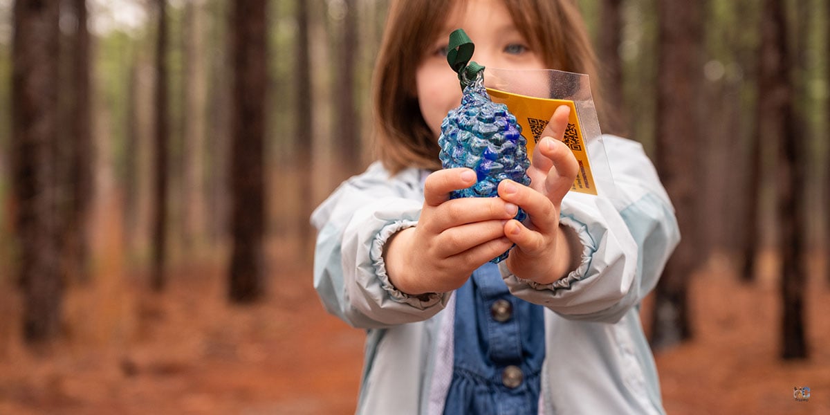 Pinecone Pathways Moore County NC Travel Guide Image by NC Tripping
