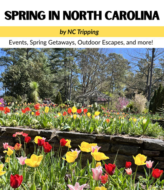 Spring in North Carolina Digital Book Cover by NC Tripping 2026