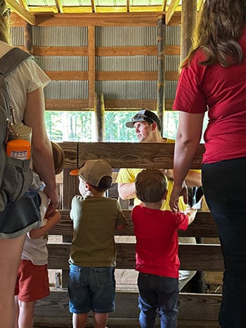 Page Farms Animals