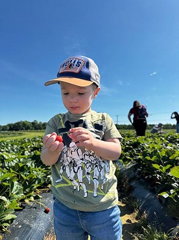 Page Farms Strawberries