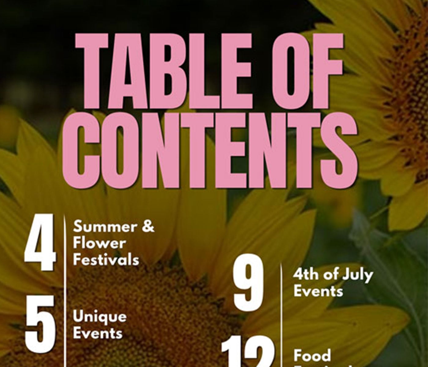 Summer-in-NC-Digital-Book-TOC-2026