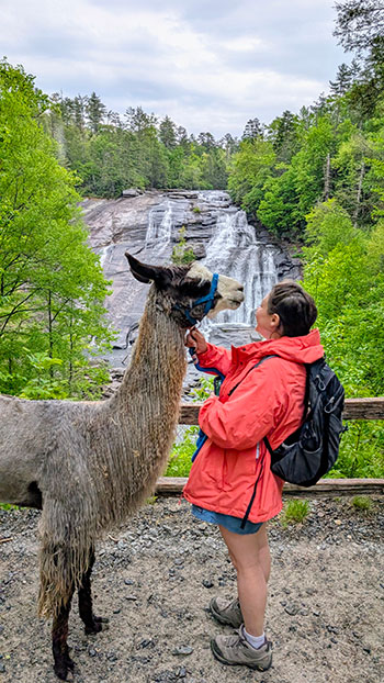 brevard llama trek