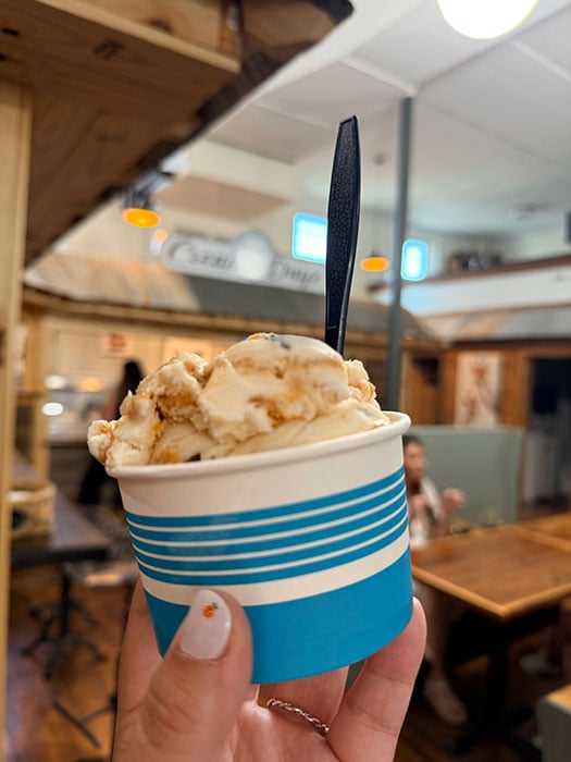 Creamy Dayz Elkin NC Restuarants Image by NC Tripping