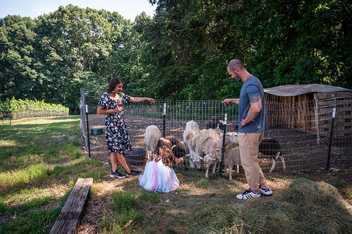 statesville pizano deluca family