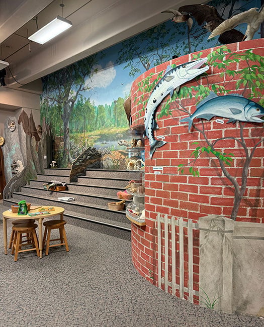 NC Museum of Natural Sciences Raleigh NC Indoor Play Spaces Image by NC Tripping