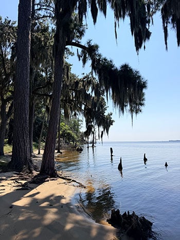 goose creek state park 1