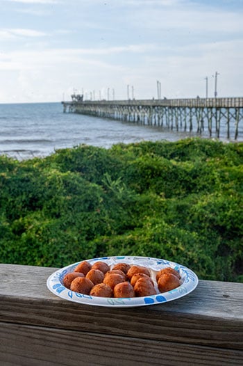 hushpuppies seaview