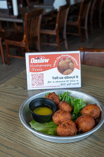 hushpuppy joededdys